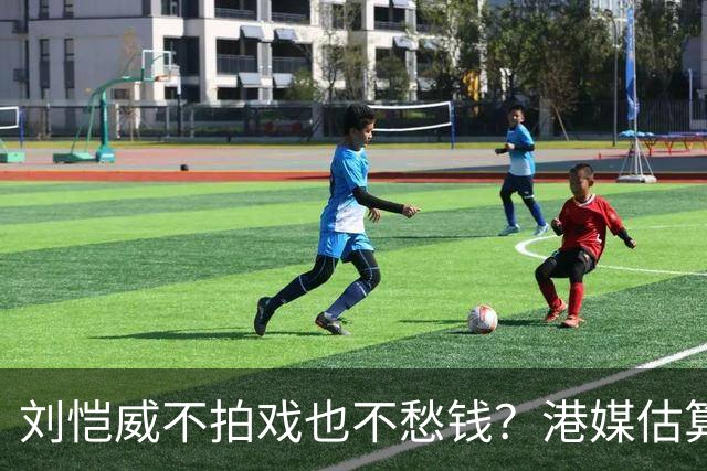 刘恺威不拍戏也不愁钱？港媒估算身家数亿，半山豪宅与商业物业价值上亿