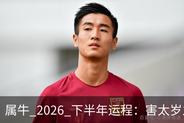 属牛 2026 下半年运程：害太岁之年，能否翻身，有没有横财运？