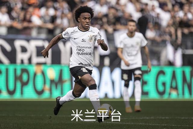 米兰平台公司介绍