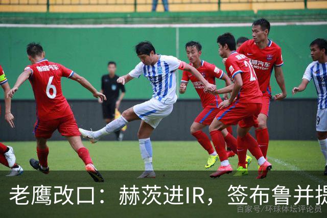 老鹰改口：赫茨进IR，签布鲁并提拔两人