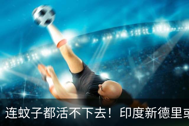 连蚊子都活不下去！印度新德里或将不适合人类居住，警报已拉响了