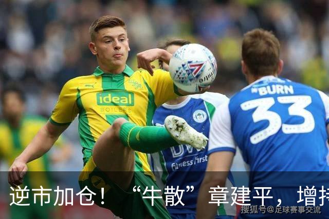 逆市加仓！“牛散”章建平，增持云南锗业