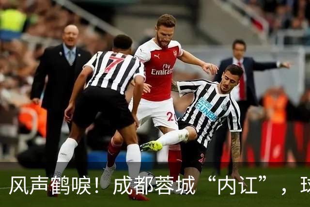 风声鹤唳！成都蓉城“内讧”，球迷担心刘殿座放水，另一人更危险