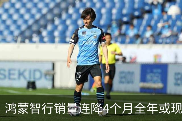 鸿蒙智行销量连降4个月全年或现负增长 前三季问界交付跌12.6%智界下滑24.5%